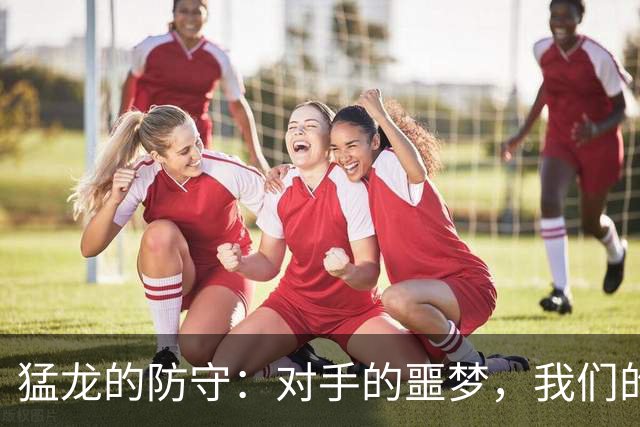 猛龙的防守：对手的噩梦，我们的狂欢！